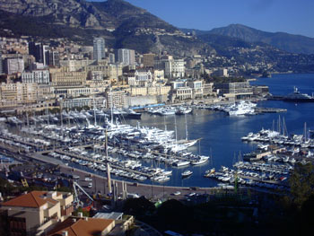 Monte Carlo view