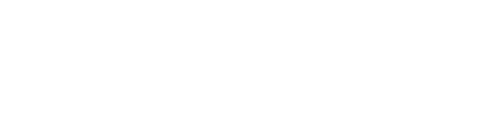 Fidelis logo