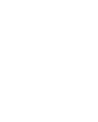 Palomar logo