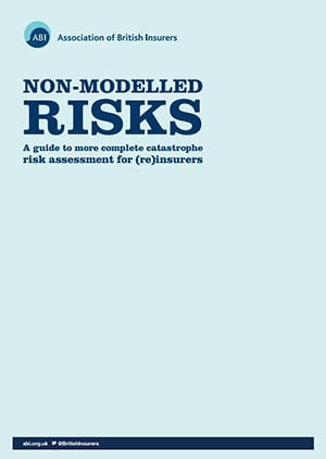Non-Modelled Risks guide