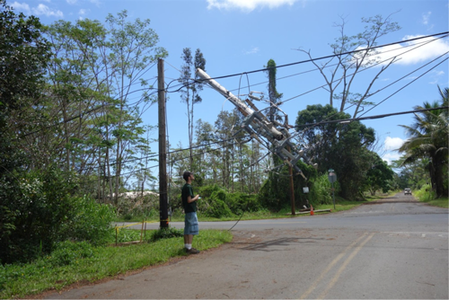 Iselle damage to a telephone pole