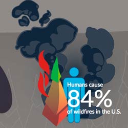 Wildfire Risk