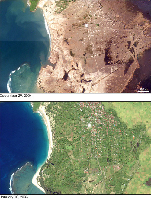 44 New Christmas island tsunami Manga Serial for Home Screen Wallpapers