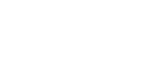 100 Resilient Cities