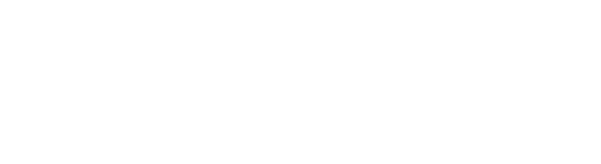 Fidelis logo