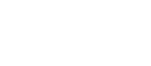 Nephila logo