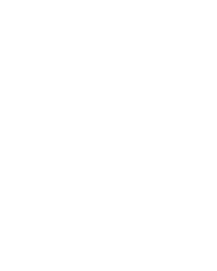 Palomar logo