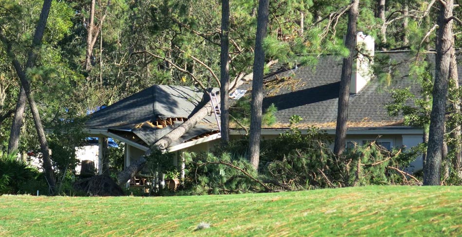 Roof damage due to a fallen tree