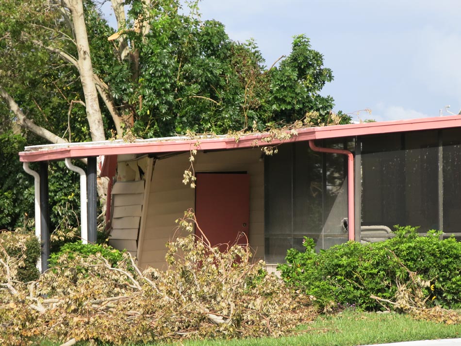 Tree collapsed on attached shed.