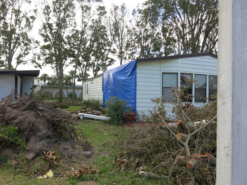 Tree fell through living room, which caused significant damage.