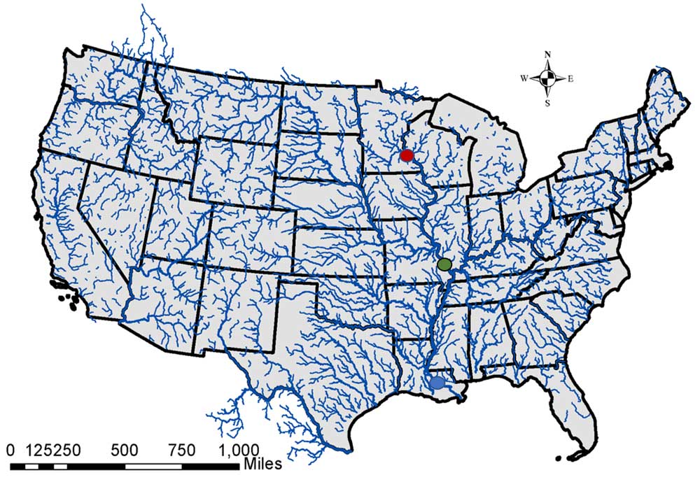 Figure 1b