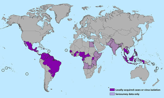 Zika virus distribution as of 15 January 2016