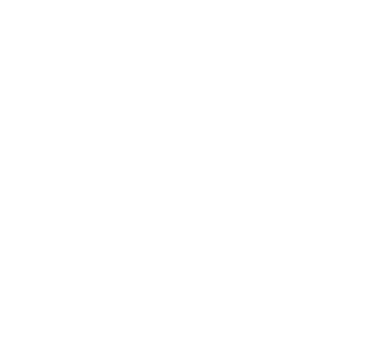 Data icon