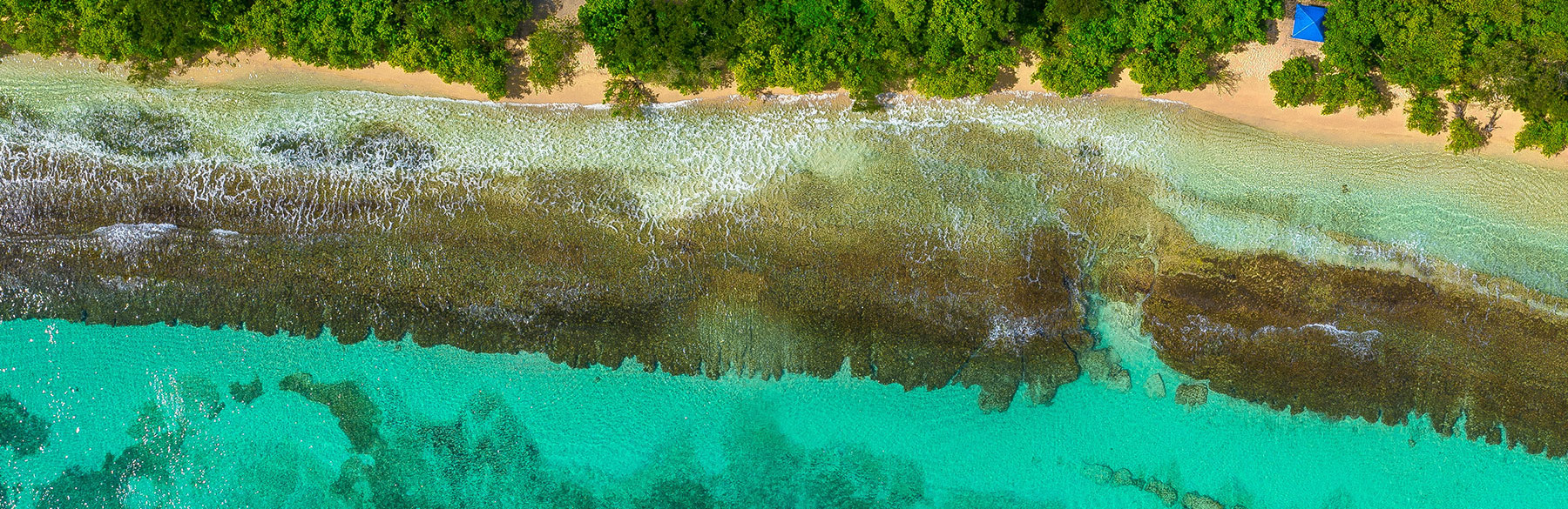 Do You Know Your Caribbean Risk?