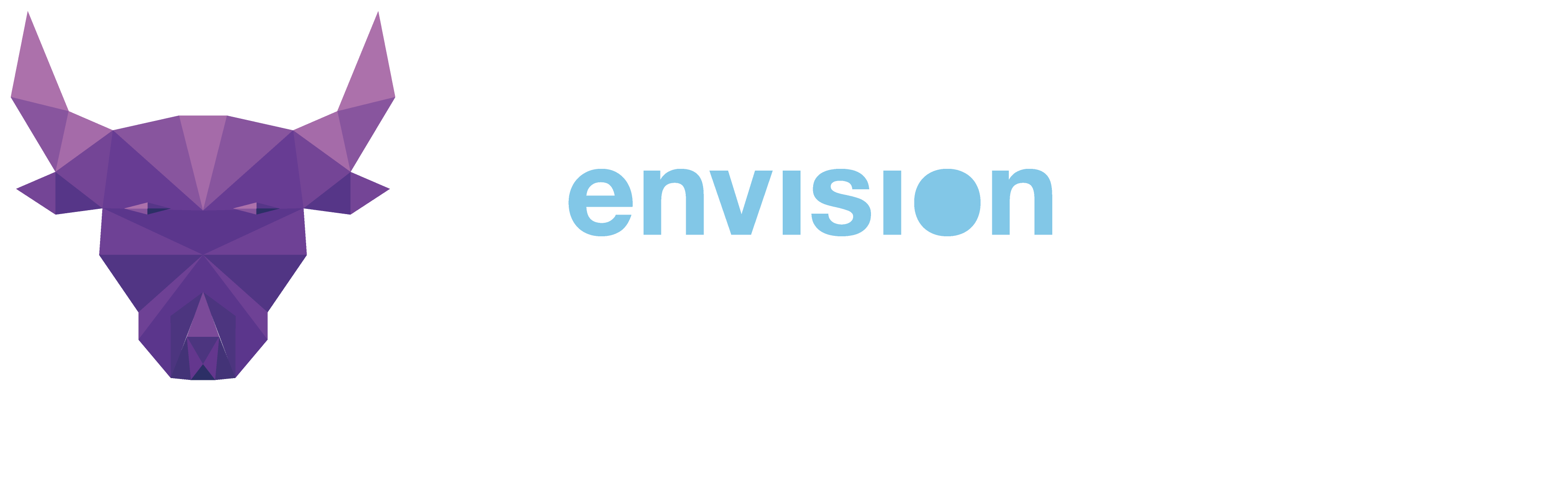 Envision Austin