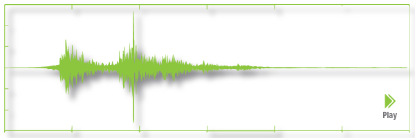 earthquake waves