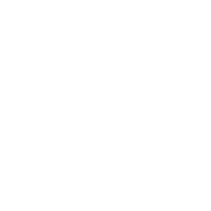 GEM logo